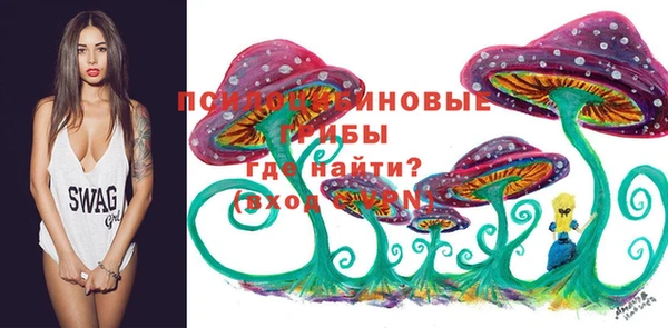 молекула духа Приозерск