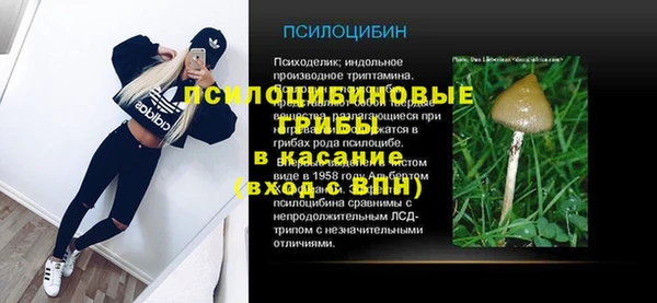 apvp Протвино