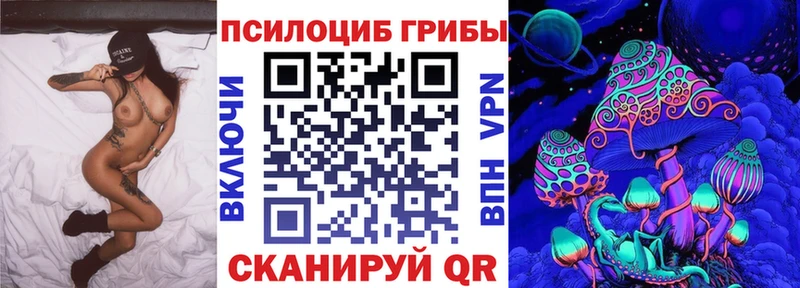 Псилоцибиновые грибы мицелий  Сковородино 